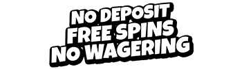 no deposit free spins no wagering