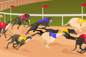 Greyhounds Betting